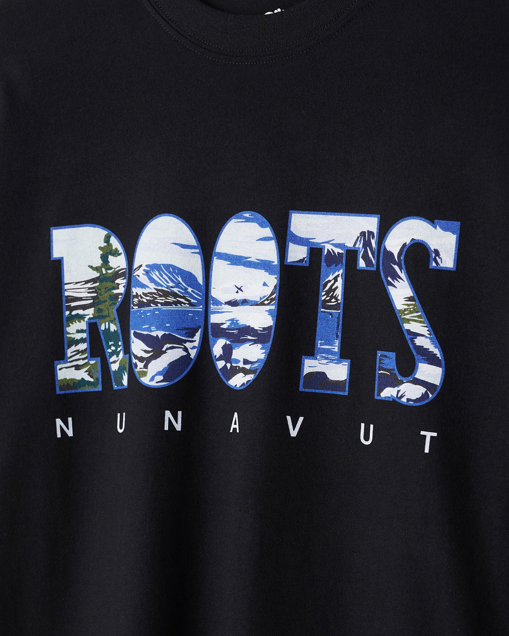 Greetings From North T-Shirt