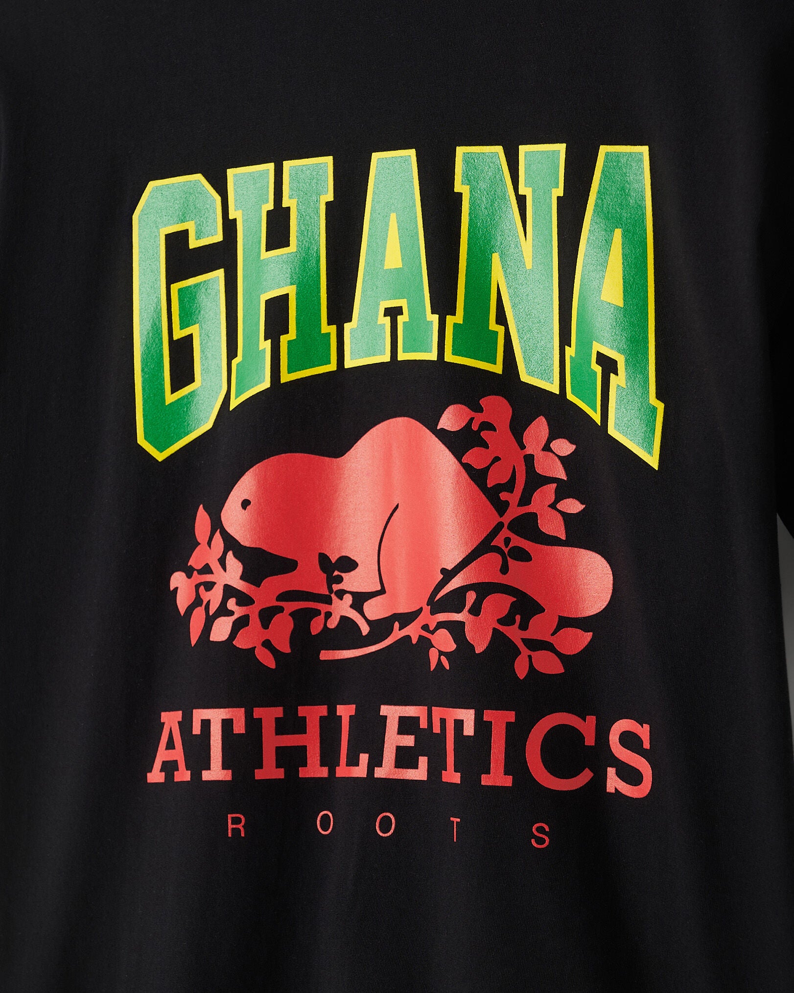 Roots Worldwide T-Shirt