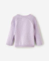 Baby Sweater Knit Crew