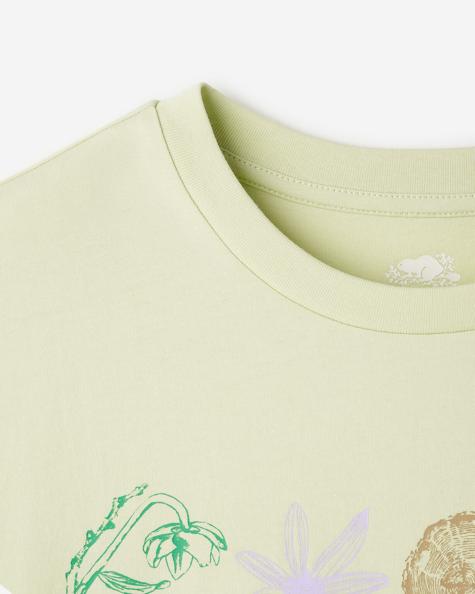 Womens Roots Nature Stamp T-Shirt