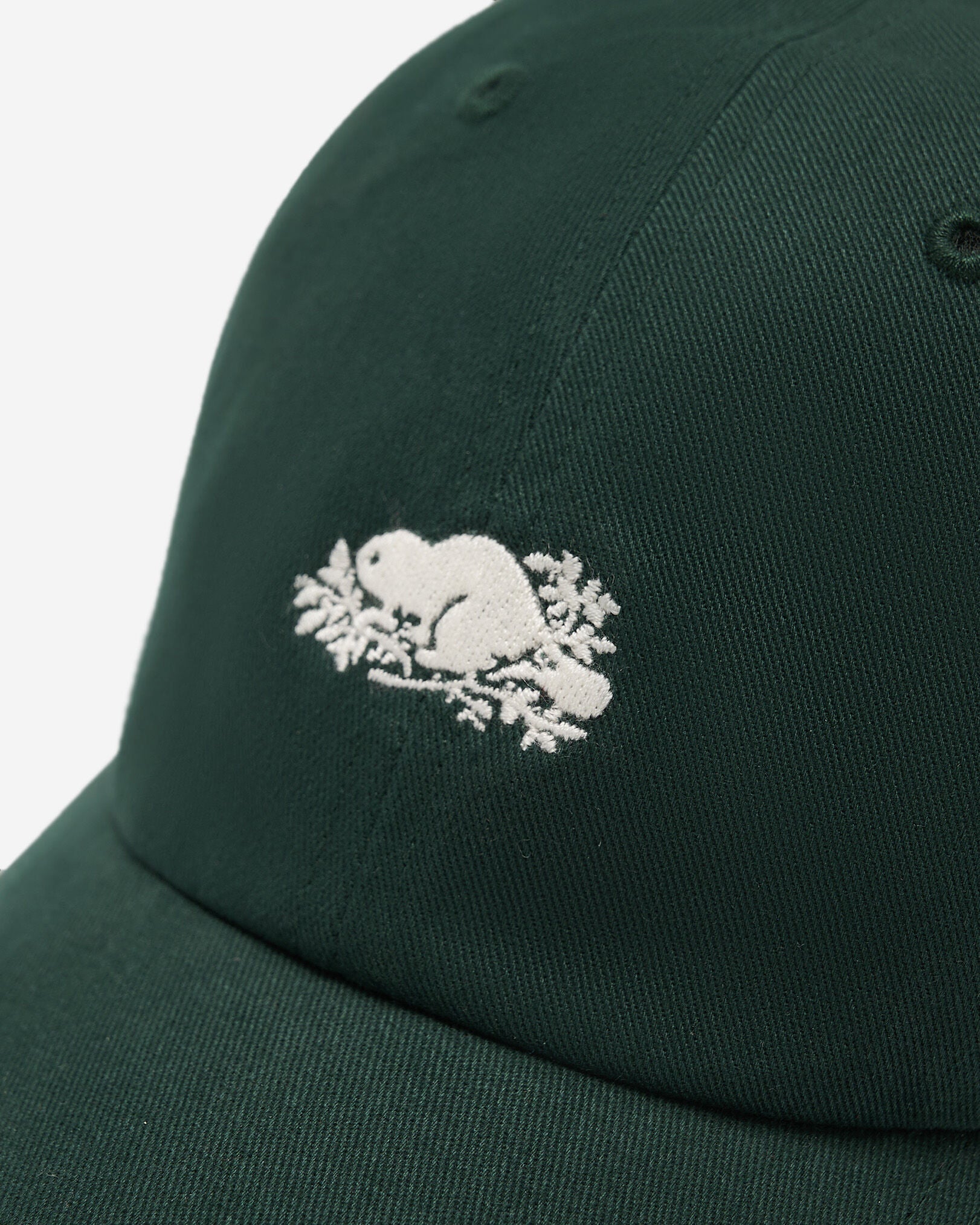 Everyday Cooper Beaver Cap