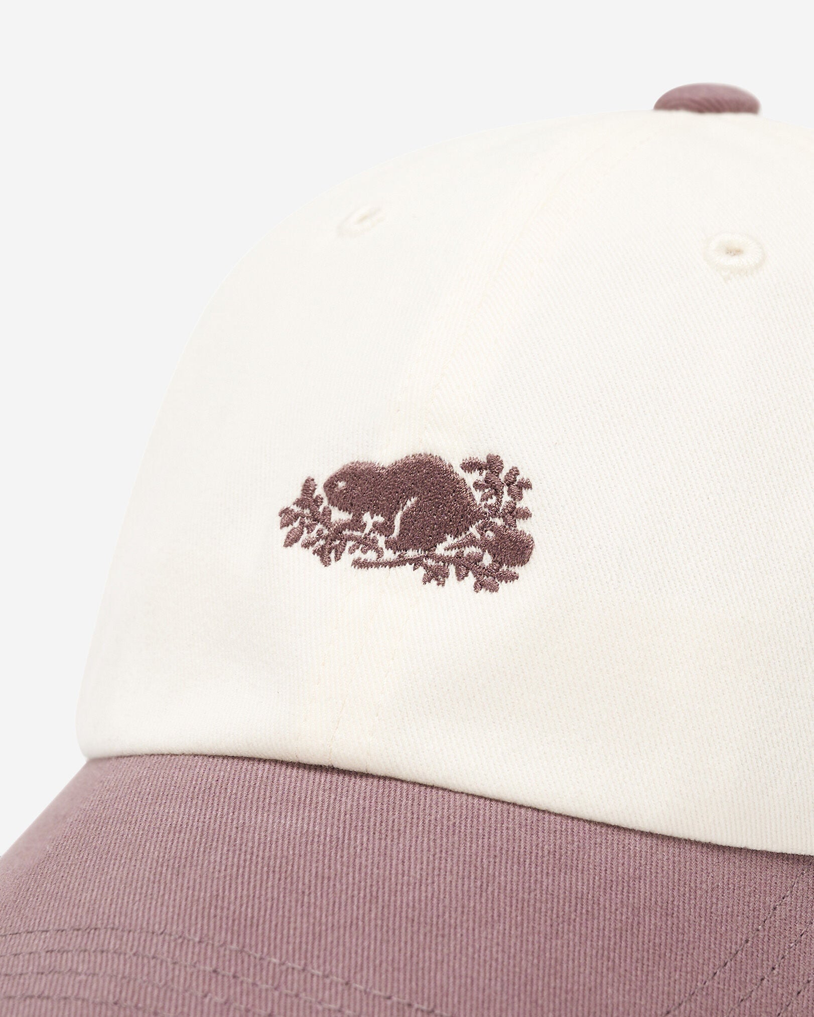 Everyday Cooper Beaver Cap