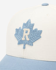 Modern Leaf Roots Baseball Cap