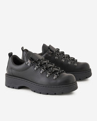 Nordic Shoe