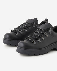 Nordic Shoe