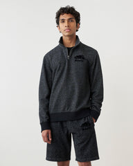 Organic Original Quarter Zip Stein