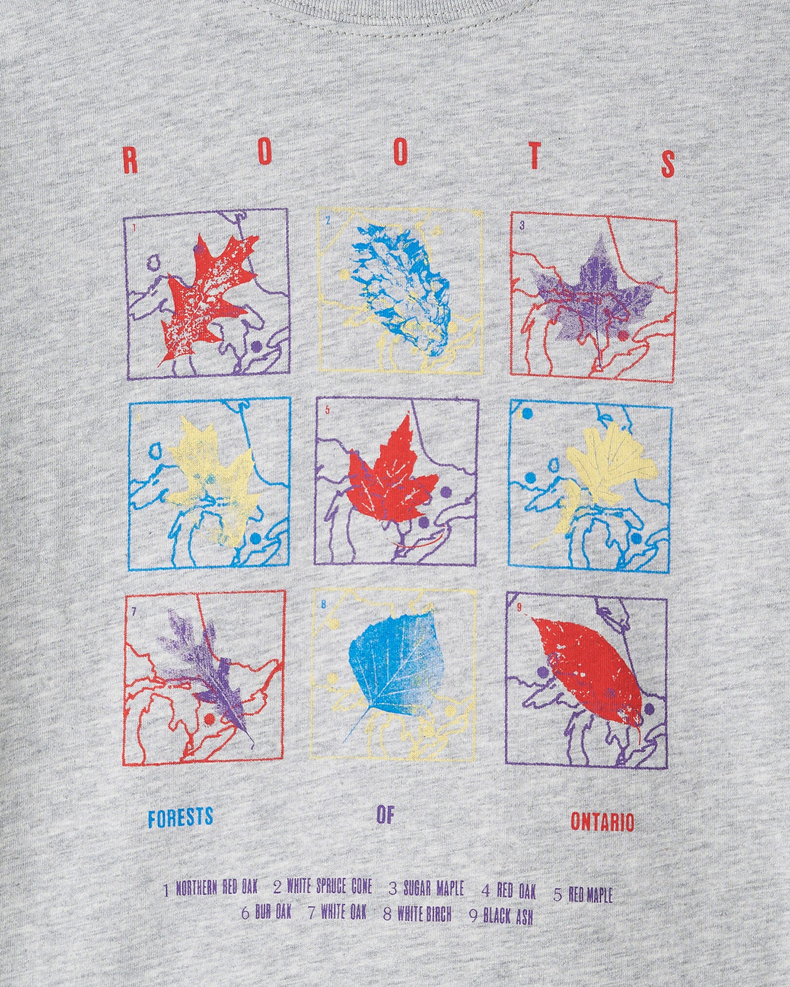 Kids Little Leaves T-Shirt