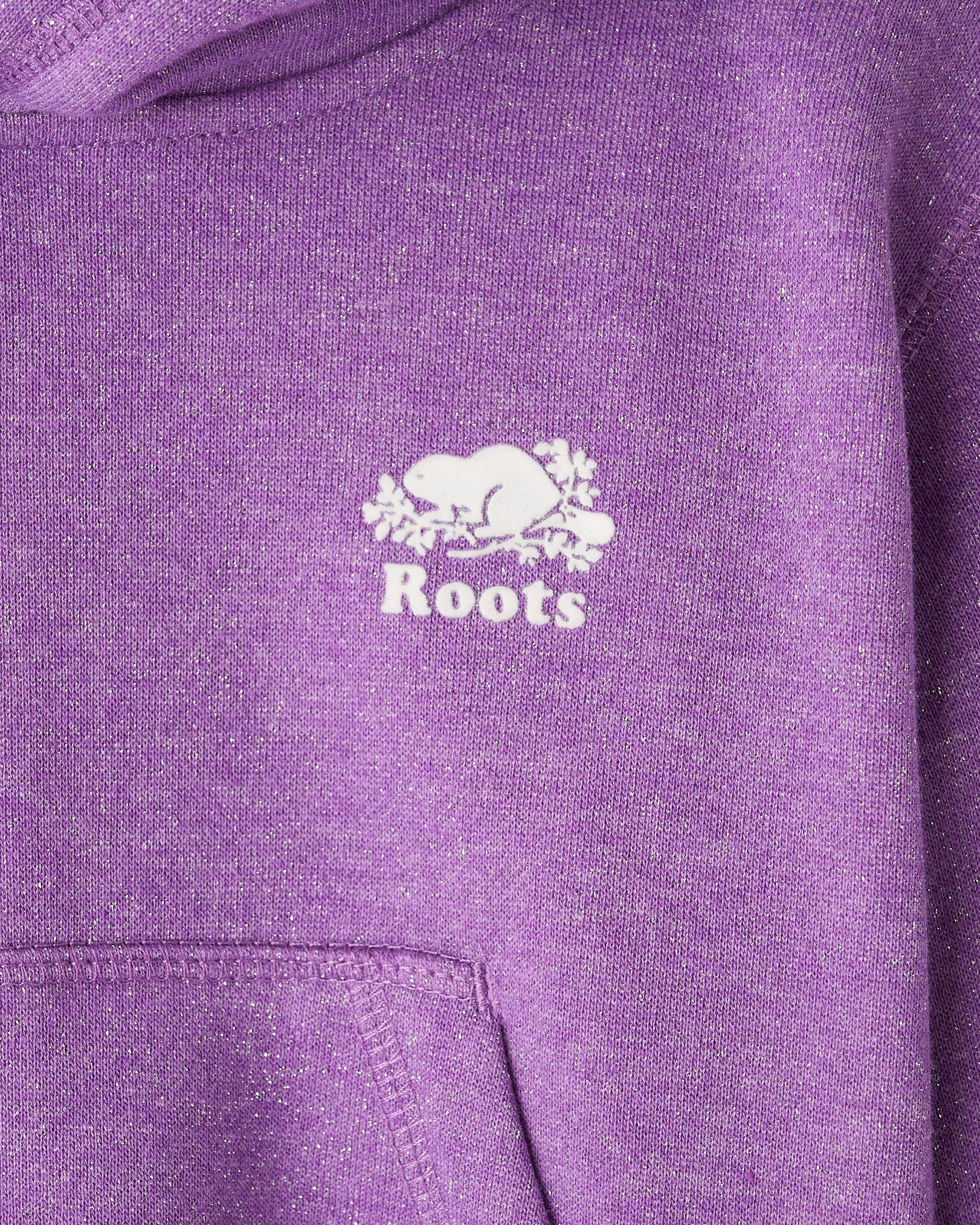 Girls Cooper Sparkle Cropped Hoodie