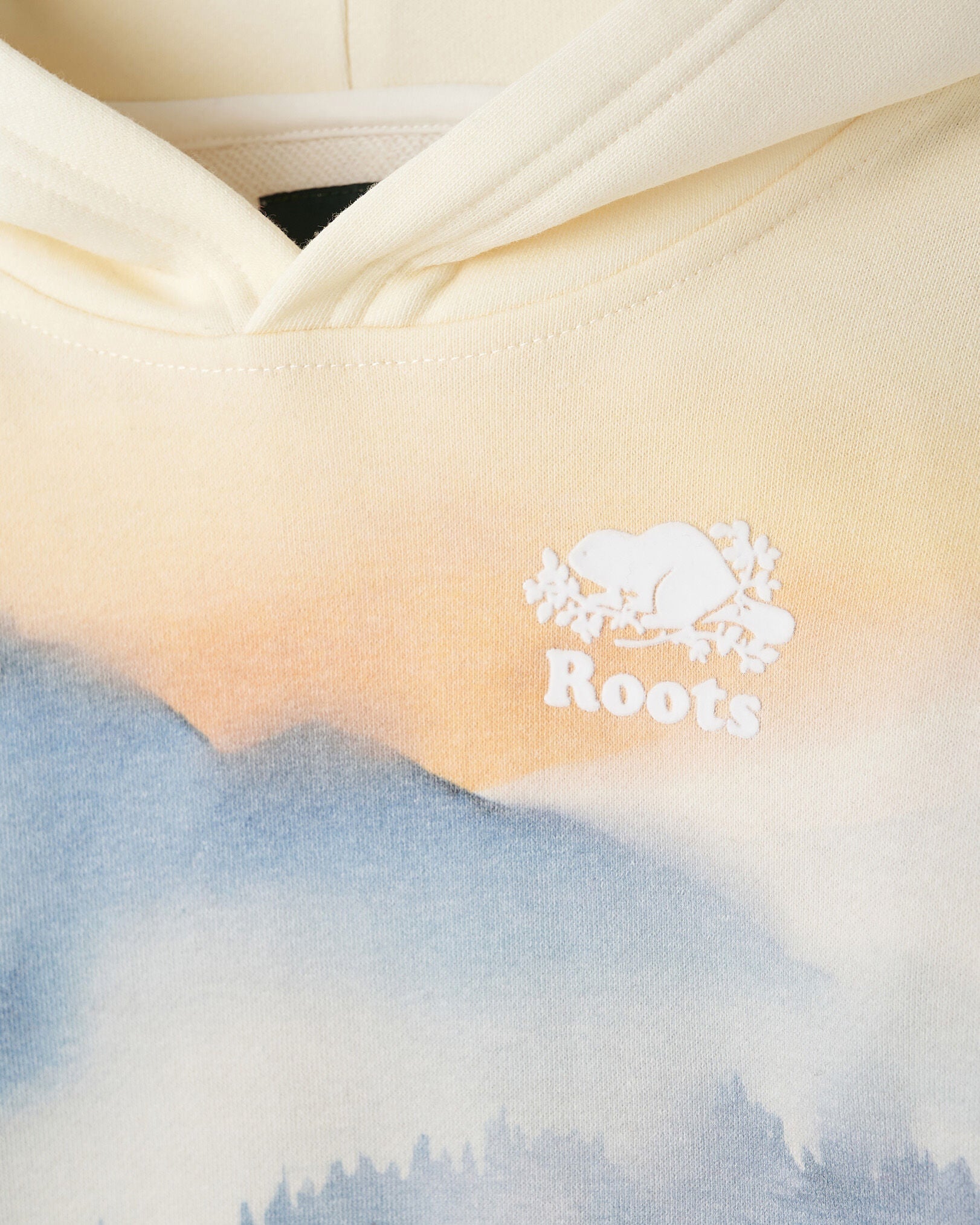 Toddler Landscape Hoodie