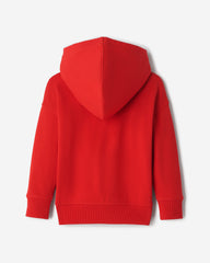 Toddler Northern Athletics Hoodie