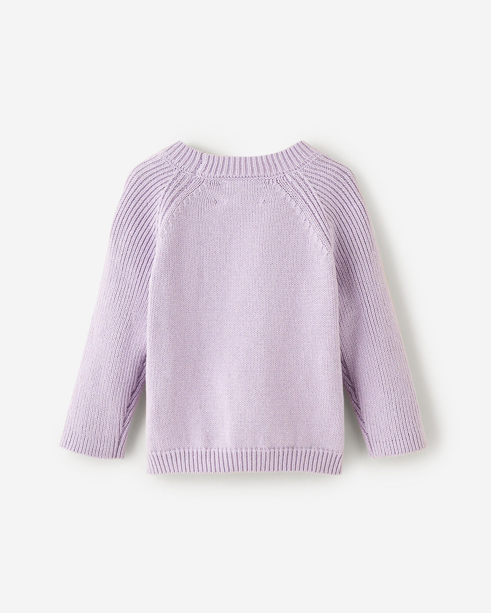 Baby Sweater Knit Crew