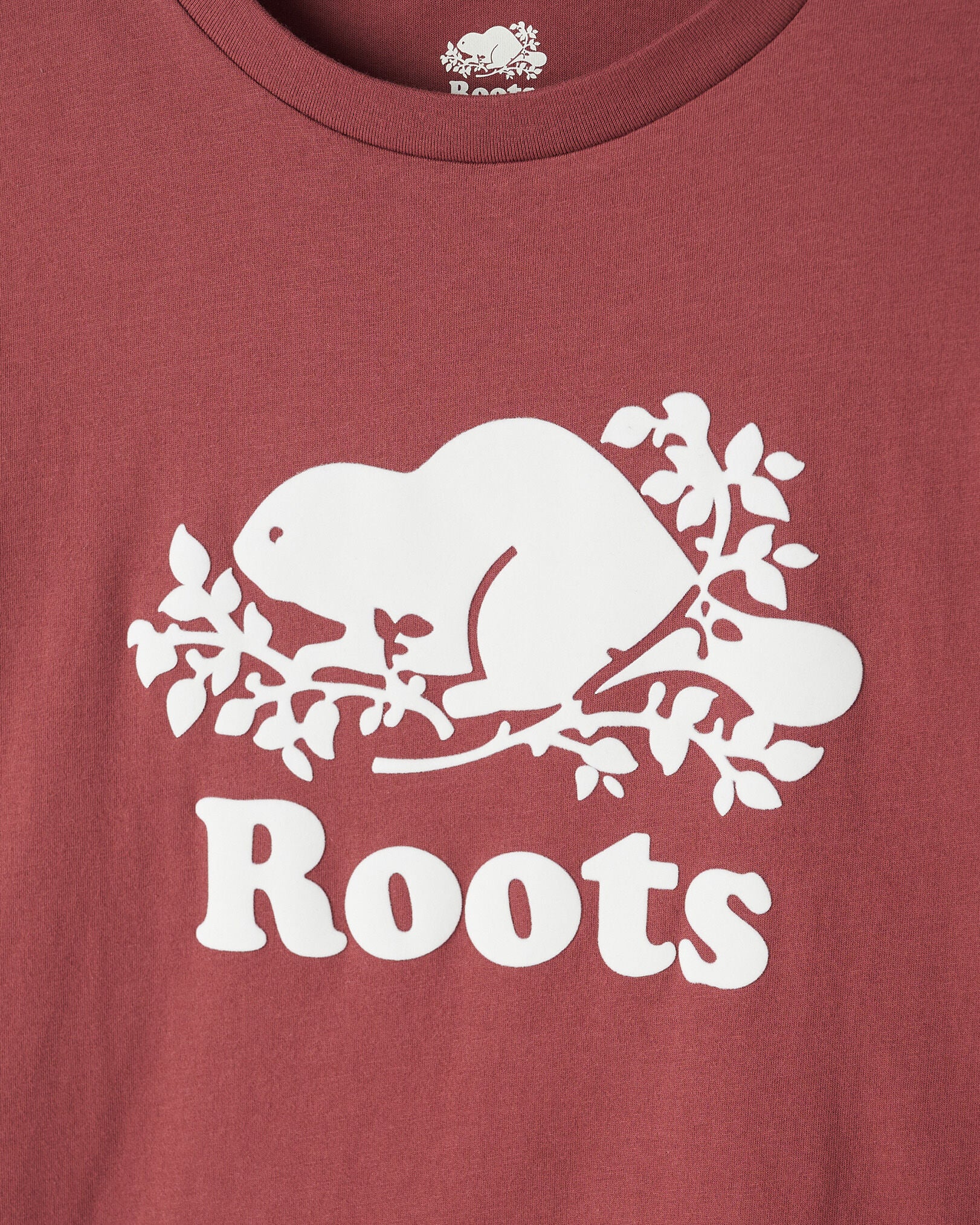 Womens Organic Relaxed Cooper T-Shirt