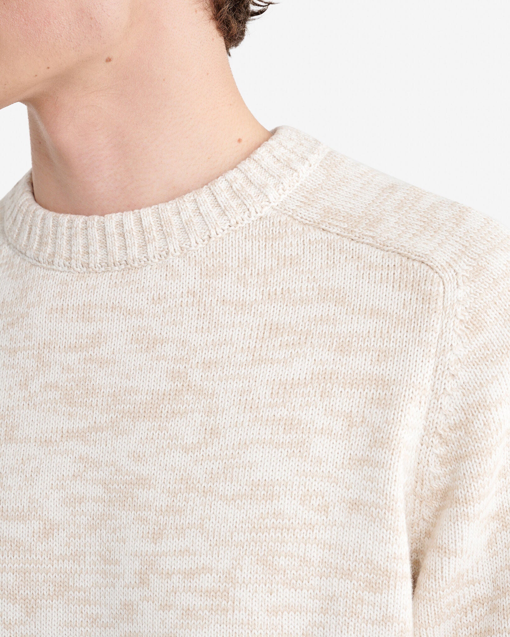 Robson Crew Sweater