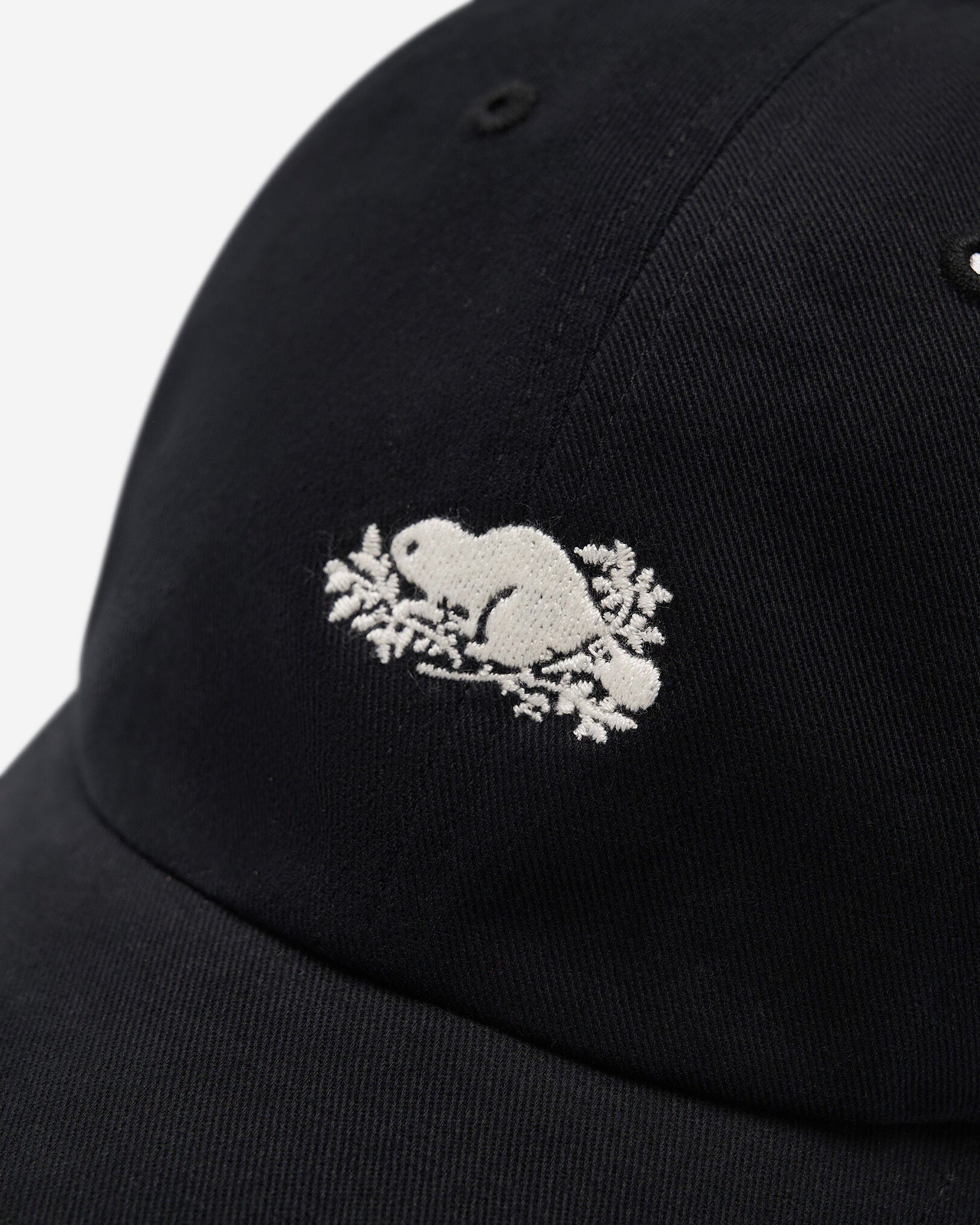 Everyday Cooper Beaver Cap