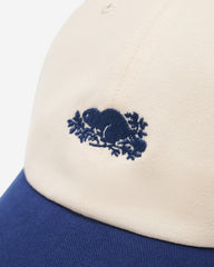 Everyday Cooper Beaver Cap