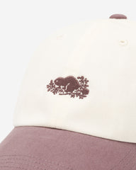 Everyday Cooper Beaver Cap