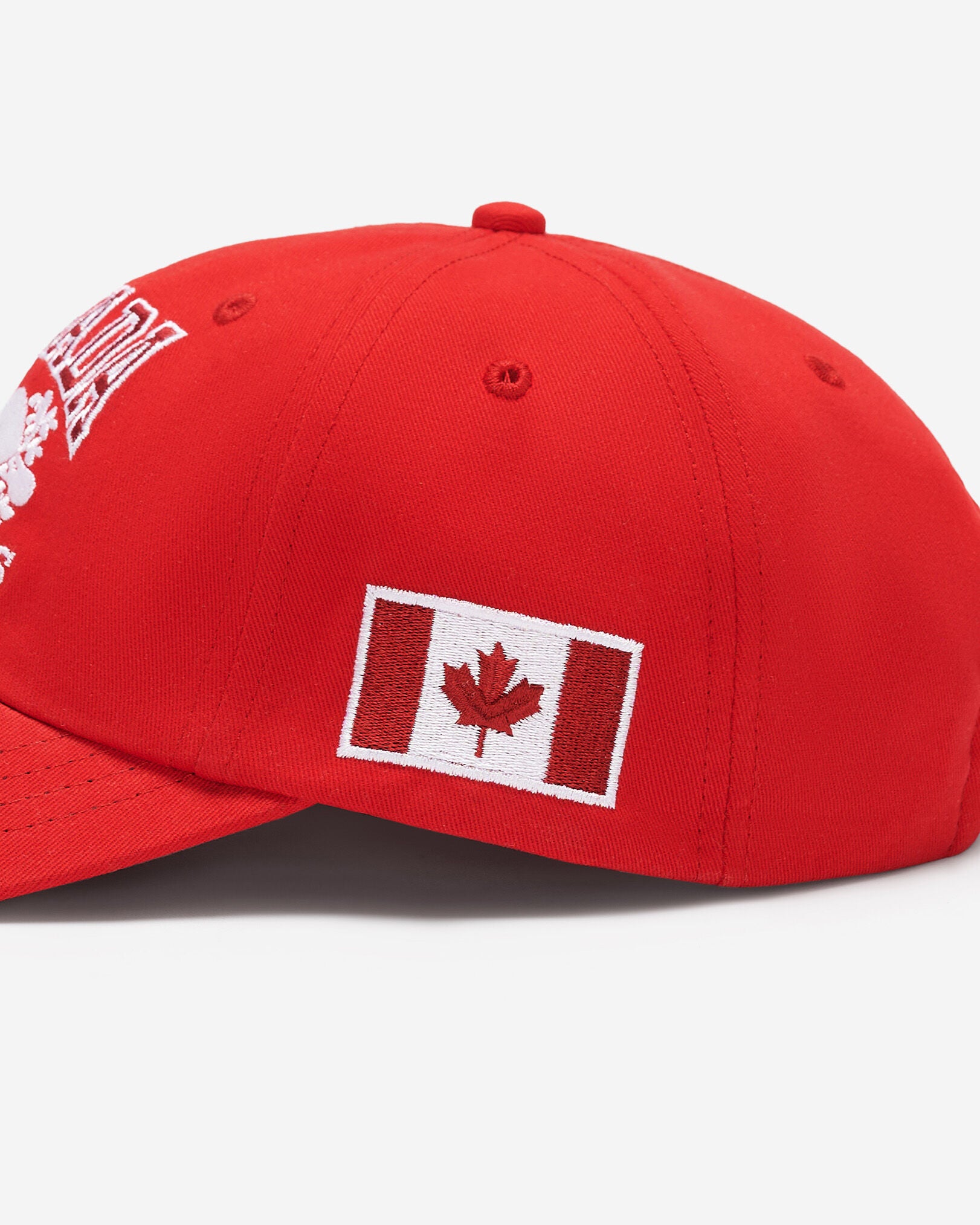 Roots Worldwide Cap Canada