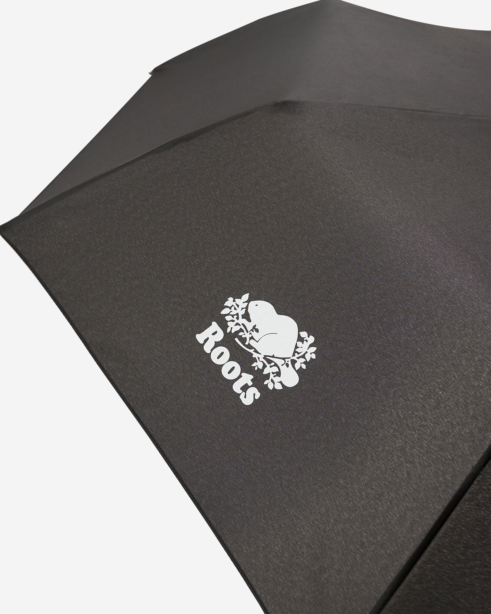 Roots Umbrella