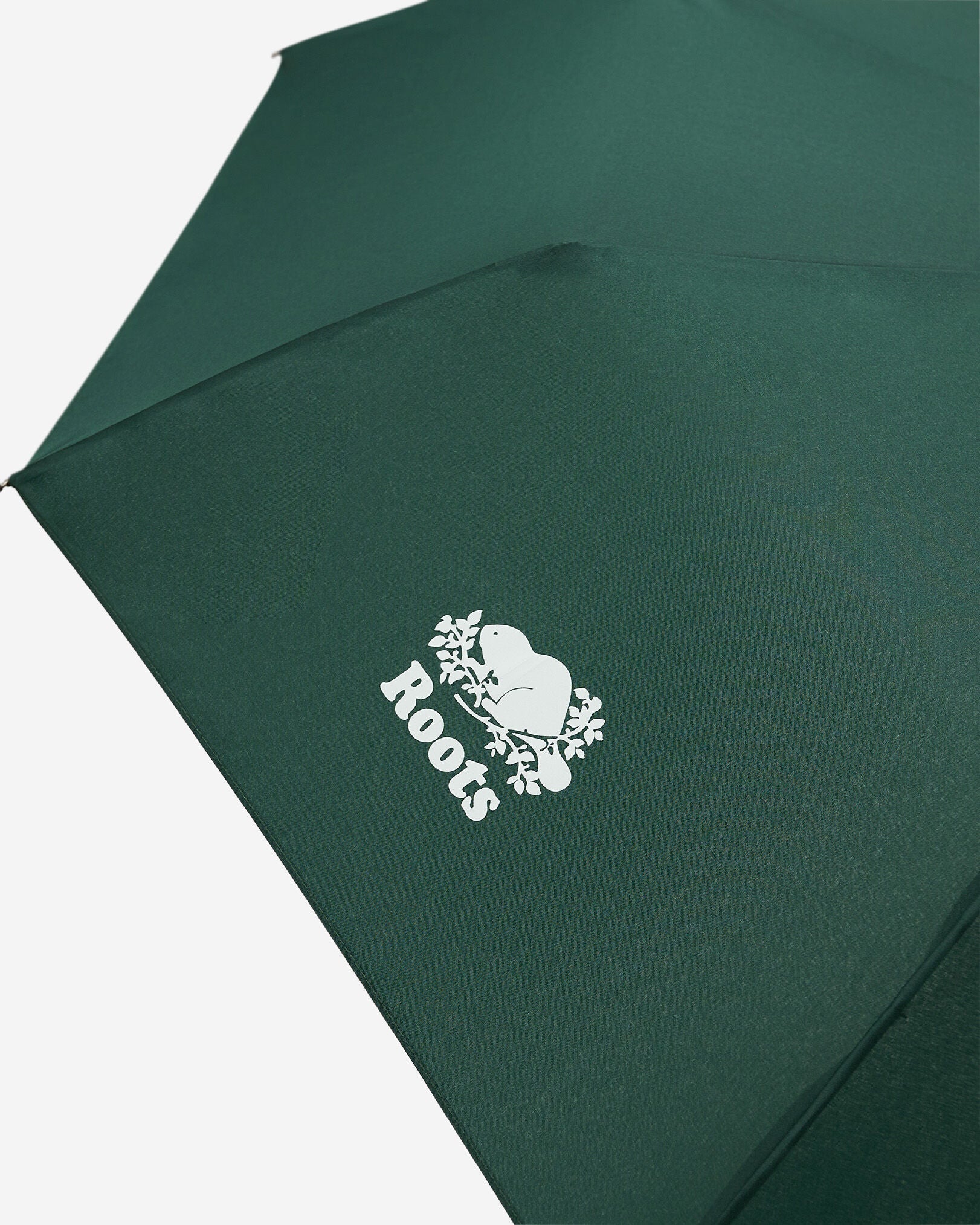 Roots Umbrella
